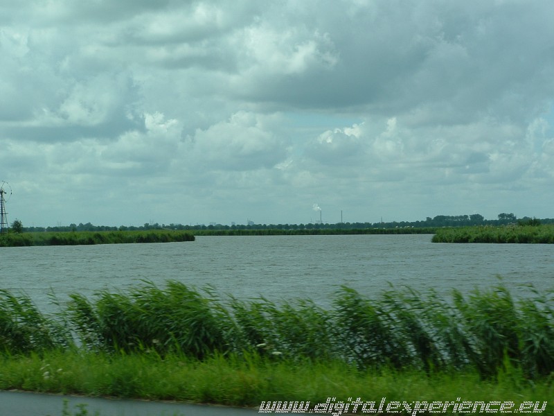 DSCF0270