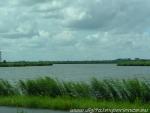 DSCF0270